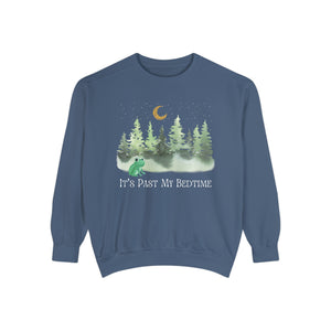 Frog Sweatshirt Forestcore Cottagecore Sweatshirt It's Past My Bedtime Enchanted Forest Plus Size Fall Sweatshirt Whimsigoth Clothing Whimsigoth Shirt