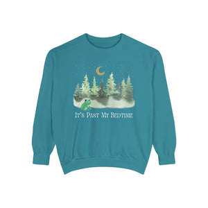 Frog Sweatshirt Forestcore Cottagecore Sweatshirt It's Past My Bedtime Enchanted Forest Plus Size Fall Sweatshirt Whimsigoth Clothing Whimsigoth Shirt
